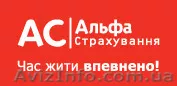 Автогражданка (ОСАГО) по низкой цене - <ro>Изображение</ro><ru>Изображение</ru> #1, <ru>Объявление</ru> #1504506