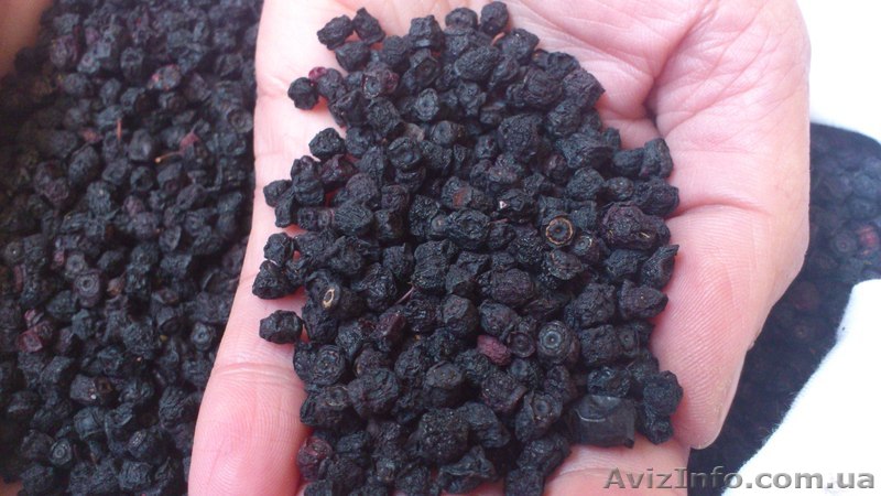 Черника сушенная - <ro>Изображение</ro><ru>Изображение</ru> #1, <ru>Объявление</ru> #1514125