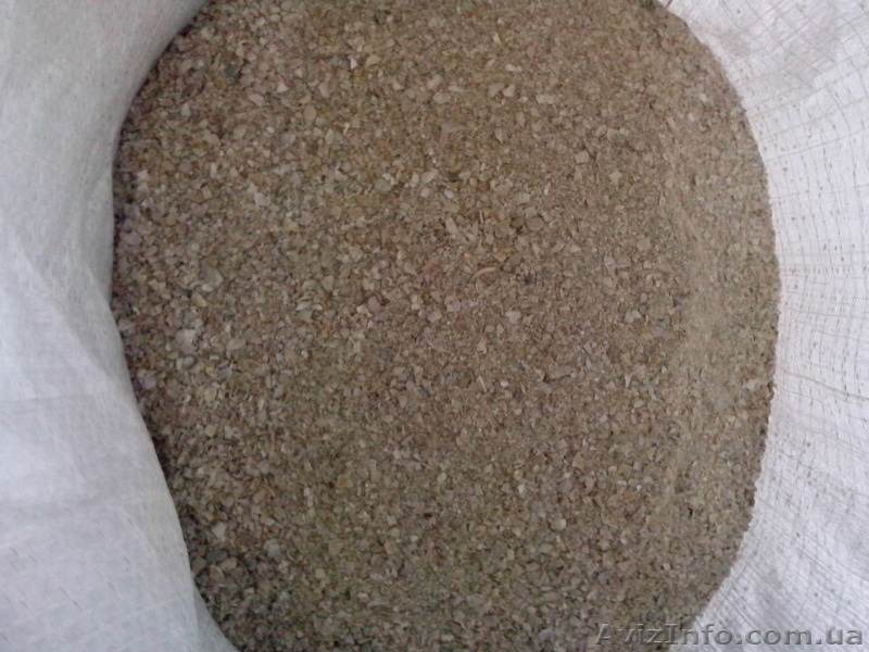 Ракушка кормовая ( морская ) - <ro>Изображение</ro><ru>Изображение</ru> #1, <ru>Объявление</ru> #1528542