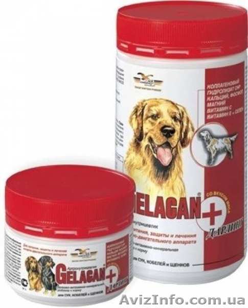 Продам Гелакан Дарлинг (Gelacan Darling) 150 г, 500 г - <ro>Изображение</ro><ru>Изображение</ru> #1, <ru>Объявление</ru> #1535358