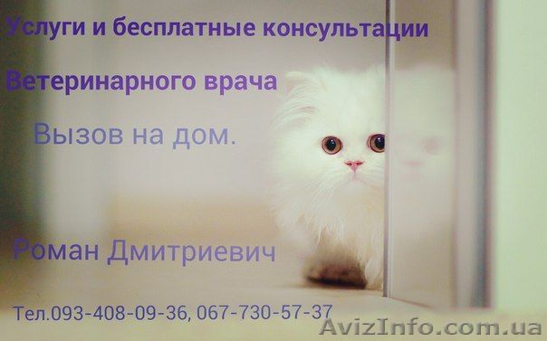 Ветеринар вызов на дом Харьков тел.. О93-408-О9-36 - <ro>Изображение</ro><ru>Изображение</ru> #1, <ru>Объявление</ru> #1531689