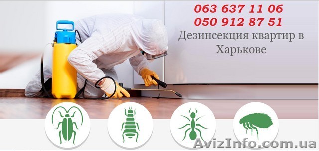 Уничтожение любых видов насекомых . Гарантия - <ro>Изображение</ro><ru>Изображение</ru> #1, <ru>Объявление</ru> #1557623