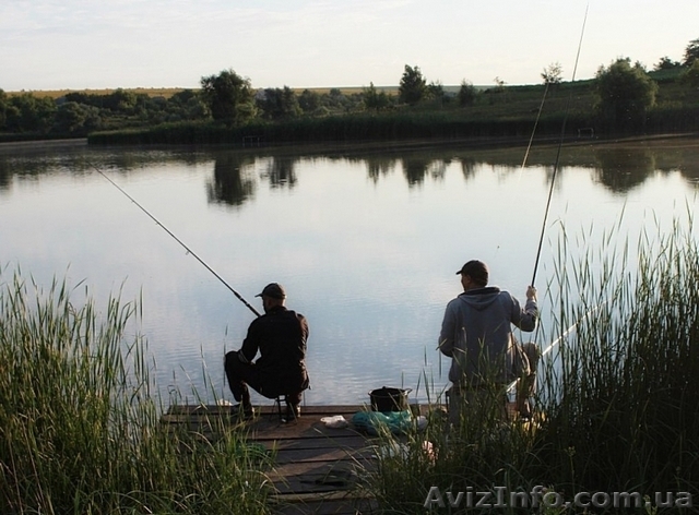 Рыбалка, Харьков, Дергачи, Прудянка - <ro>Изображение</ro><ru>Изображение</ru> #1, <ru>Объявление</ru> #1581096