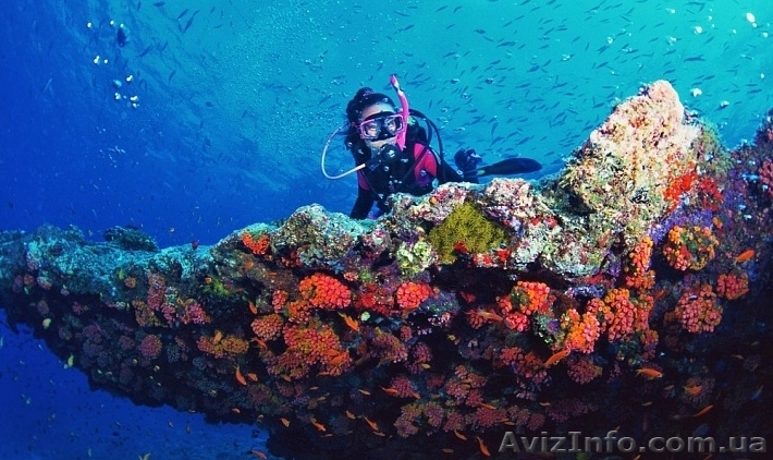 Отдых в Египте. Все прелести этой страны Ваше Объявление: 11147389 - <ro>Изображение</ro><ru>Изображение</ru> #1, <ru>Объявление</ru> #1615946