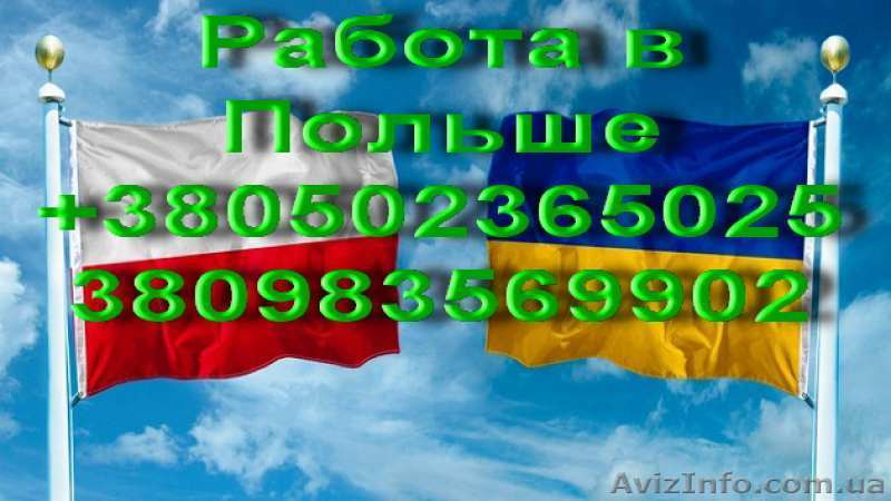 Виза, Работа, Страховки в Польшу. - <ro>Изображение</ro><ru>Изображение</ru> #1, <ru>Объявление</ru> #1628535