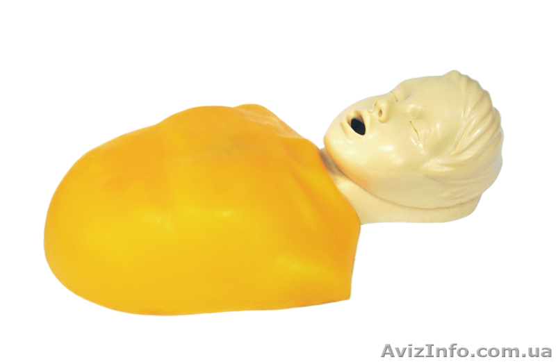 Тренажер Тарас-У - ТОРС БЕЗ ЭЛЕКТРОНИКИ - <ro>Изображение</ro><ru>Изображение</ru> #1, <ru>Объявление</ru> #1634079