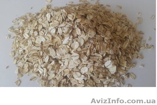 Овсяные хлопья, овсянка, овсяные хлопья пропаренные, овсянка недорого. ОПТ - <ro>Изображение</ro><ru>Изображение</ru> #1, <ru>Объявление</ru> #1641063