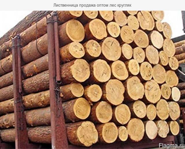 Лес кругляк - <ro>Изображение</ro><ru>Изображение</ru> #1, <ru>Объявление</ru> #1645357