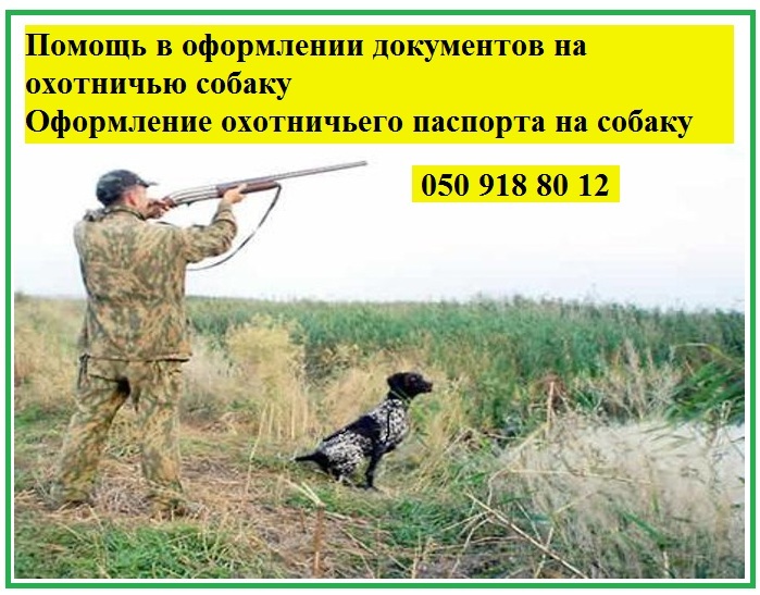 Оформлення документів на мисливського собаку Мисливський паспорт на собаку - <ro>Изображение</ro><ru>Изображение</ru> #1, <ru>Объявление</ru> #1647584
