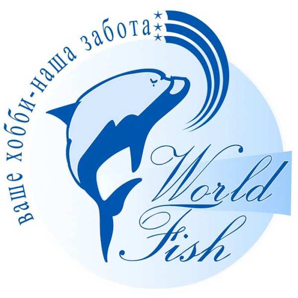 Менеджер-консультант оптово-розничных продаж - <ro>Изображение</ro><ru>Изображение</ru> #1, <ru>Объявление</ru> #1656322