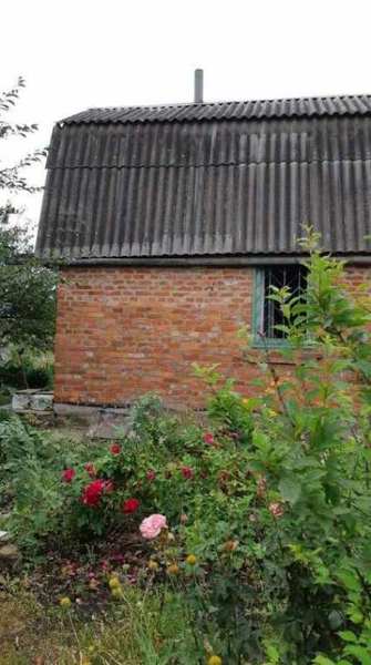 Участок 15 соток, дом. Салтовка, Кулиничи, Харьков - <ro>Изображение</ro><ru>Изображение</ru> #1, <ru>Объявление</ru> #1659743