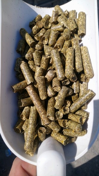 Люцерна в гранулах ( 8 мм. ) мешок 30 кг. - <ro>Изображение</ro><ru>Изображение</ru> #1, <ru>Объявление</ru> #1664123