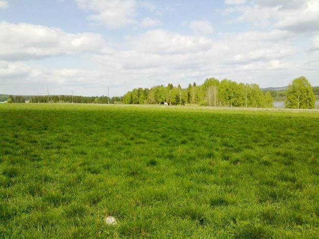 Земельный участок 0,5939 га. продажа земли - <ro>Изображение</ro><ru>Изображение</ru> #1, <ru>Объявление</ru> #1662774