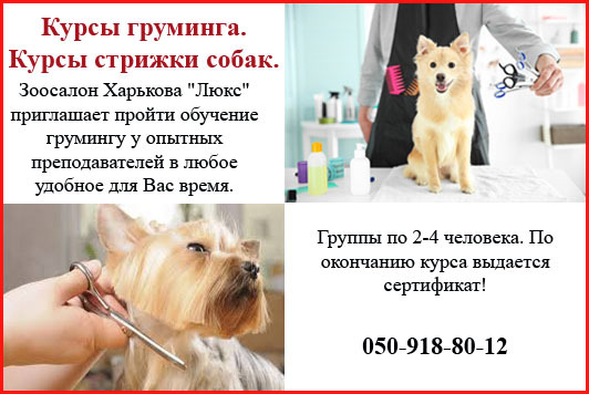 Школа груминга ""Люкс"" в Харькове для всех желающих - <ro>Изображение</ro><ru>Изображение</ru> #1, <ru>Объявление</ru> #1664743