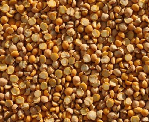 Нут половинки бараньего гороха - <ro>Изображение</ro><ru>Изображение</ru> #1, <ru>Объявление</ru> #1668363