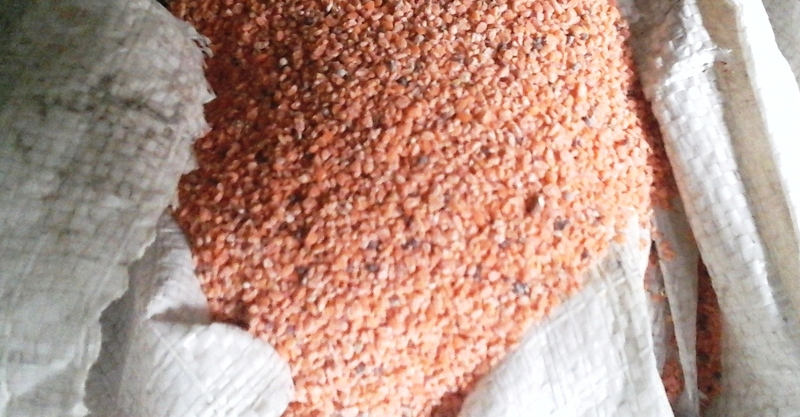 Сечка чечевицы в мешках. Корм с/х животным и птицам - <ro>Изображение</ro><ru>Изображение</ru> #1, <ru>Объявление</ru> #1668367