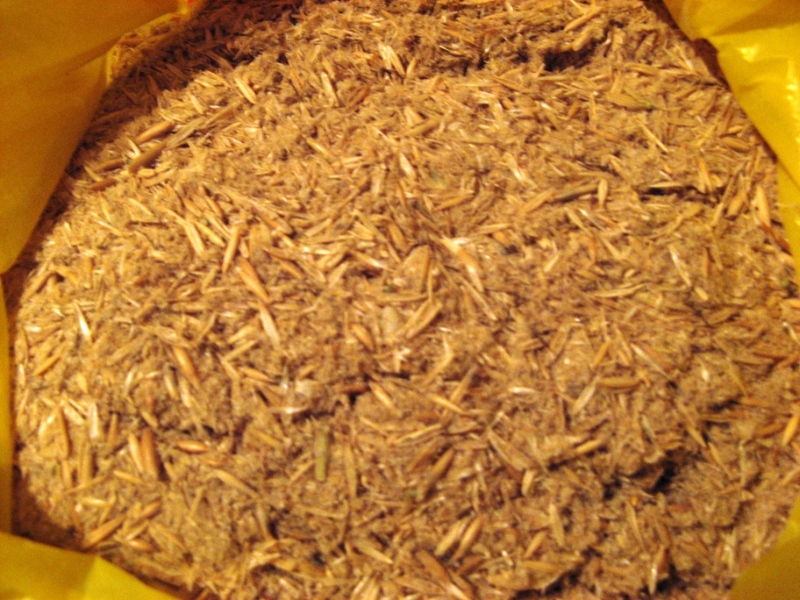 Овсяные отруби для корма бычкам, КРС и свиньям - <ro>Изображение</ro><ru>Изображение</ru> #1, <ru>Объявление</ru> #1668362