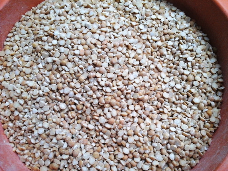 Сечка гороховая, колотый горох. Корм птицам, КРС и свиньям - <ro>Изображение</ro><ru>Изображение</ru> #1, <ru>Объявление</ru> #1661838