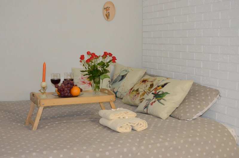 Уютная, стильная квартира в Харькове, посуточно - <ro>Изображение</ro><ru>Изображение</ru> #1, <ru>Объявление</ru> #1674246