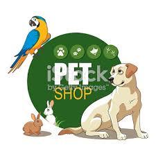 вызов ветеринара на дом круглосуточно все районы - <ro>Изображение</ro><ru>Изображение</ru> #1, <ru>Объявление</ru> #1673060