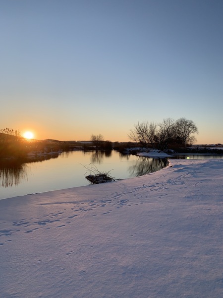 Земельный участок 2га с.Бишкин - <ro>Изображение</ro><ru>Изображение</ru> #1, <ru>Объявление</ru> #1676367