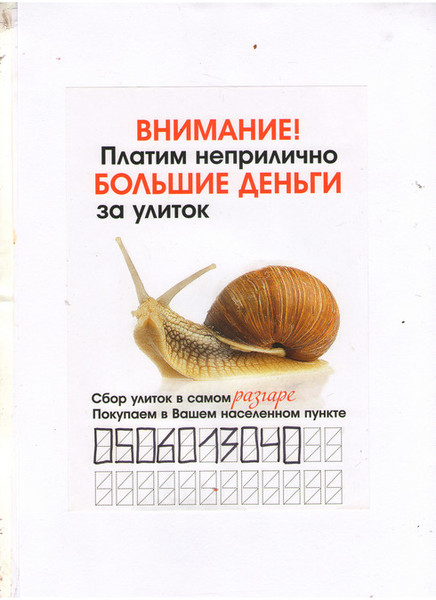 Куплю улитку - <ro>Изображение</ro><ru>Изображение</ru> #1, <ru>Объявление</ru> #1682685