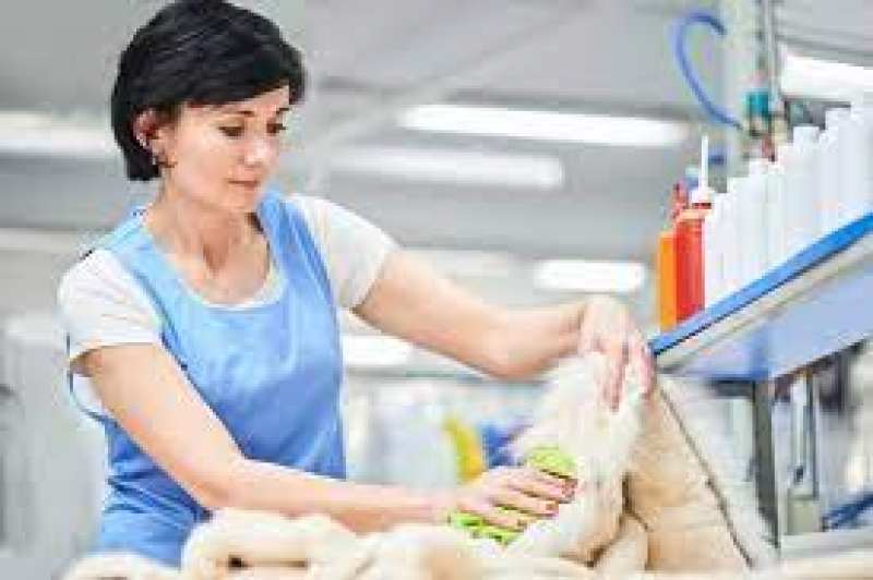 Технолог - пятновыводчица (к) в еврочистку - <ro>Изображение</ro><ru>Изображение</ru> #1, <ru>Объявление</ru> #1708190