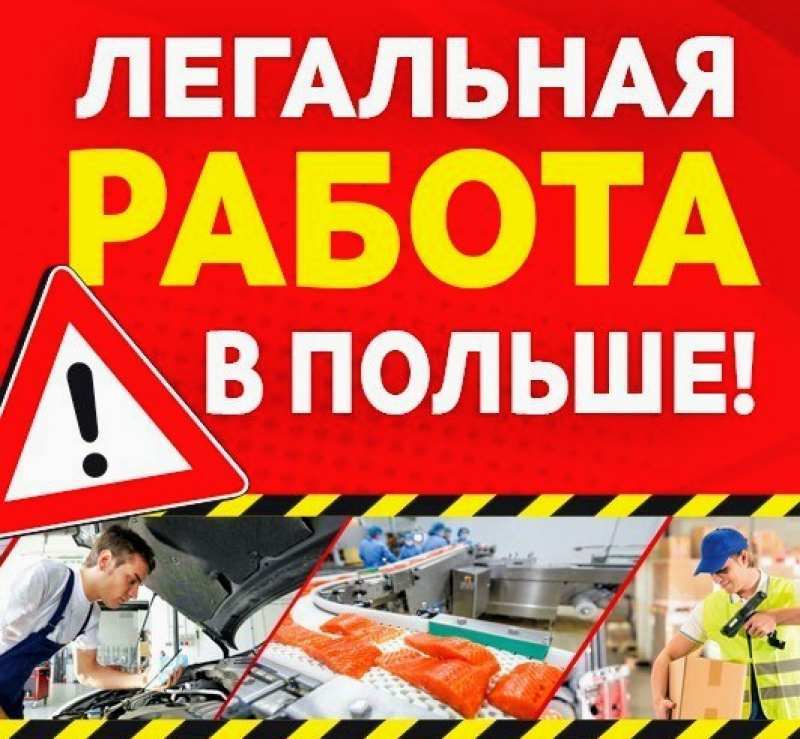 Работа в Польше без посредников - <ro>Изображение</ro><ru>Изображение</ru> #1, <ru>Объявление</ru> #1710703