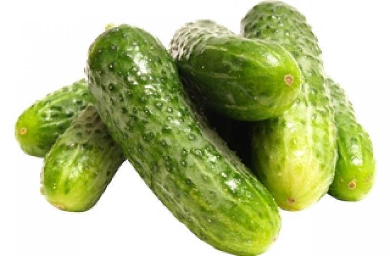 Продам грунтовой огурец - <ro>Изображение</ro><ru>Изображение</ru> #1, <ru>Объявление</ru> #1715560