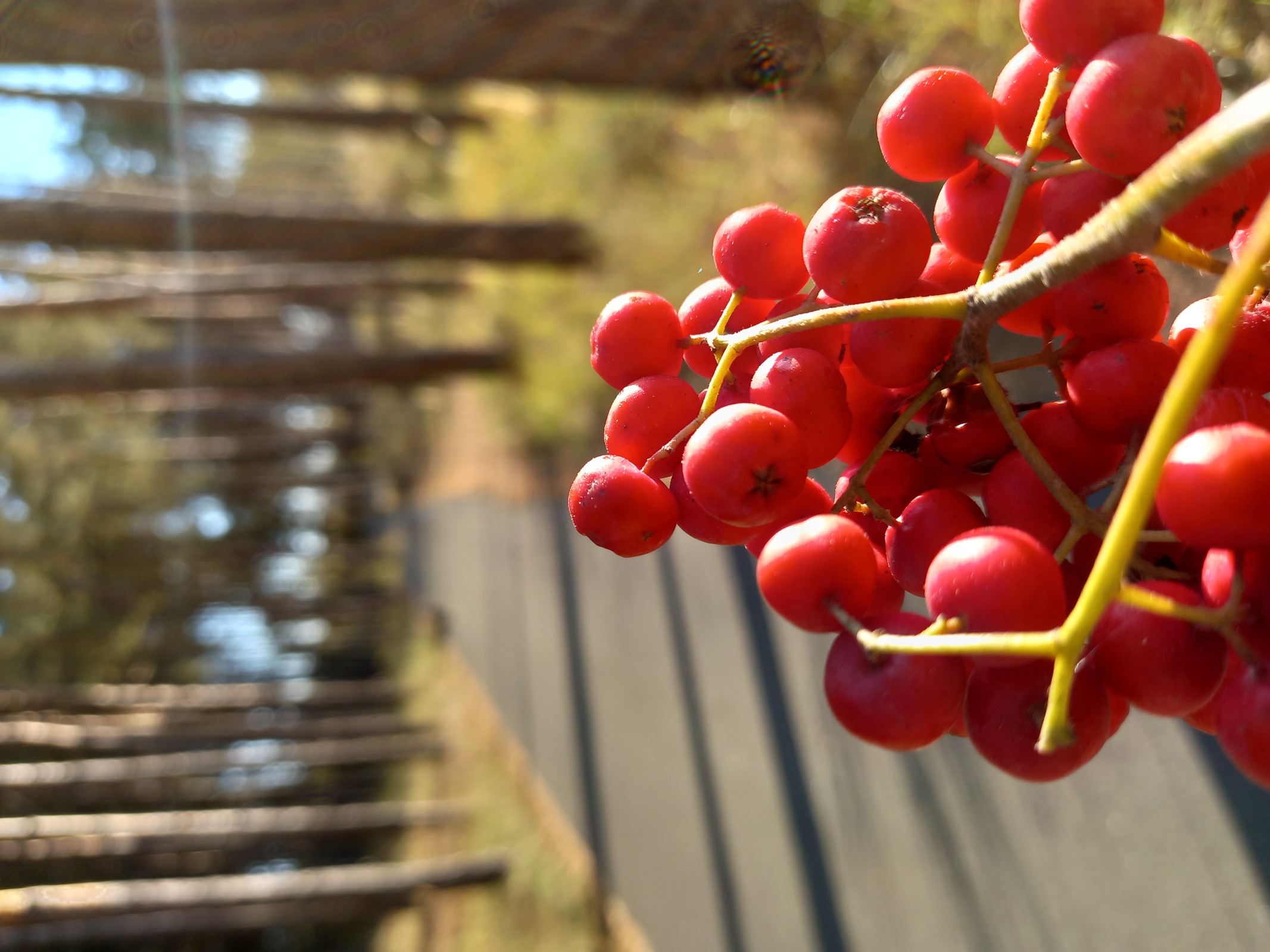 Совместимость, выбор даты, прогноз по здоровью - <ro>Изображение</ro><ru>Изображение</ru> #1, <ru>Объявление</ru> #1717501