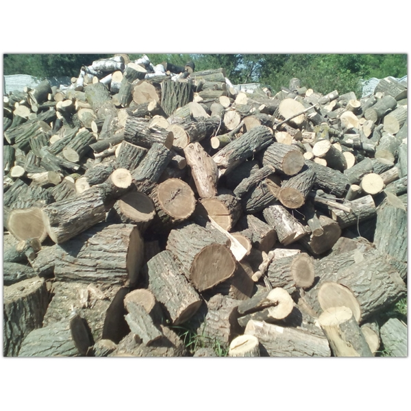 Дрова. Дуб.  Харьков. - <ro>Изображение</ro><ru>Изображение</ru> #1, <ru>Объявление</ru> #1665911