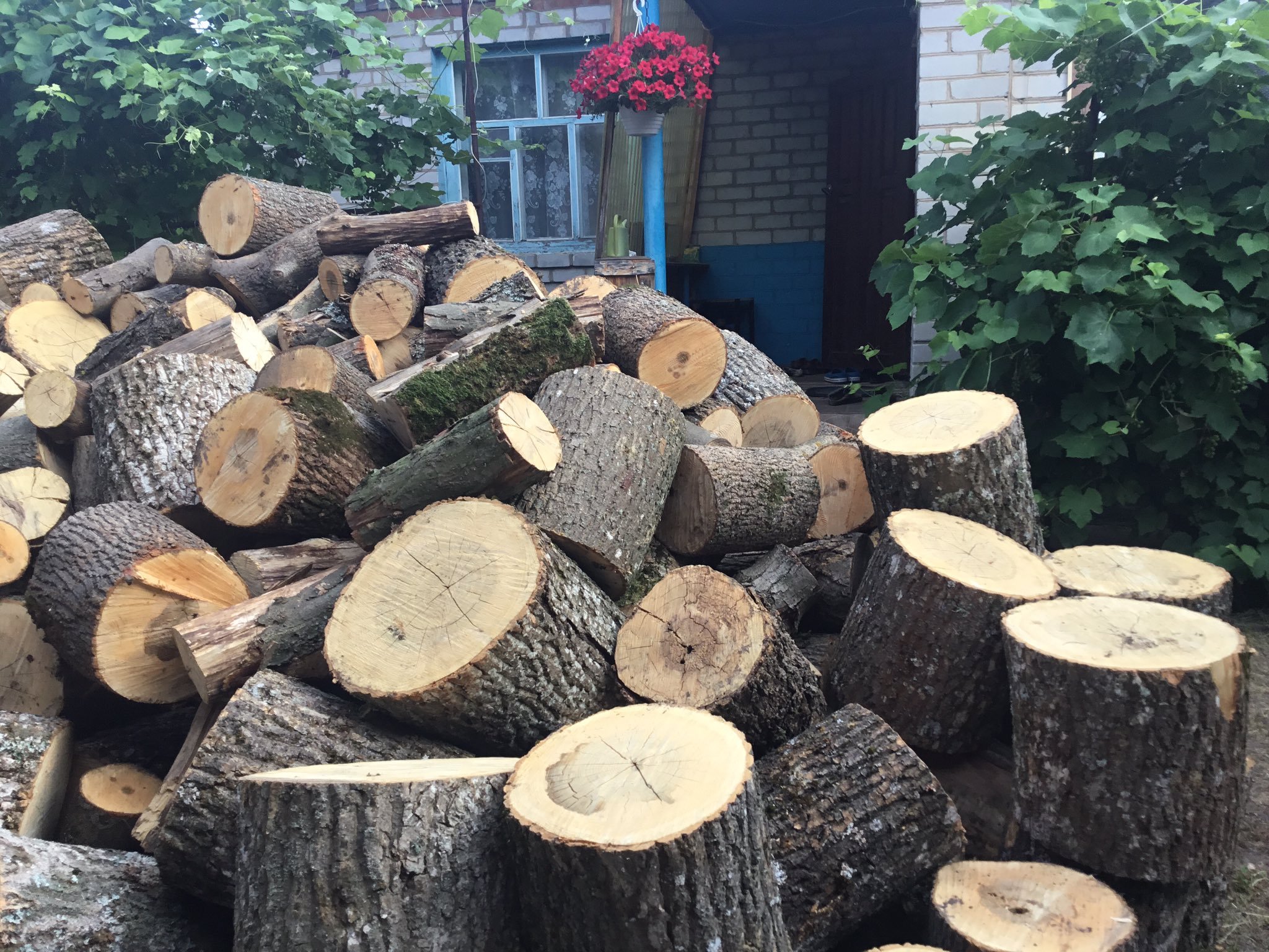 Дрова. Дуб. Харьков - <ro>Изображение</ro><ru>Изображение</ru> #1, <ru>Объявление</ru> #1661597