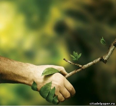 Макулатура. Дорого! - <ro>Изображение</ro><ru>Изображение</ru> #1, <ru>Объявление</ru> #1716119