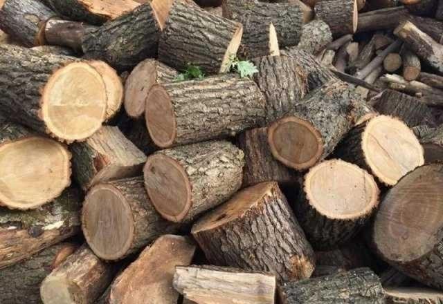 Дрова дубовые, дуб, ясень - <ro>Изображение</ro><ru>Изображение</ru> #1, <ru>Объявление</ru> #1729923