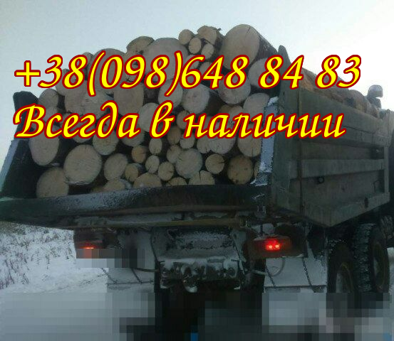 Дрова. Дуб.  - <ro>Изображение</ro><ru>Изображение</ru> #1, <ru>Объявление</ru> #1665912