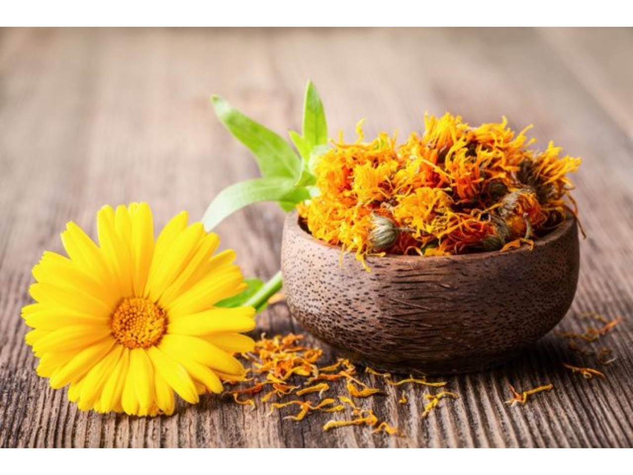 Цветки календулы ( ноготки ) сухие от 1 грамма - <ro>Изображение</ro><ru>Изображение</ru> #1, <ru>Объявление</ru> #1731235