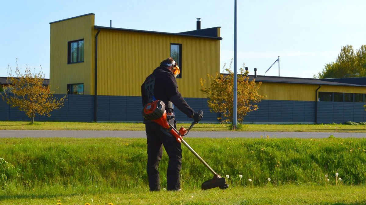 Покос травы, вырубка кустарников, спиливание ненужных деревьев уборка территории - <ro>Изображение</ro><ru>Изображение</ru> #1, <ru>Объявление</ru> #1748619
