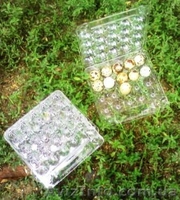 Упаковка для перепелинных яиц - <ro>Изображение</ro><ru>Изображение</ru> #2, <ru>Объявление</ru> #84387
