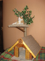 MAGICWOOD- оригинальные идеи - <ro>Изображение</ro><ru>Изображение</ru> #2, <ru>Объявление</ru> #155123