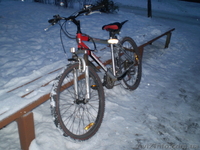 Харьков, Денис Зеленский, Darkknight333@yandex.ru - <ro>Изображение</ro><ru>Изображение</ru> #2, <ru>Объявление</ru> #145642