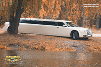 Компания "Лимузин Тур" - <ro>Изображение</ro><ru>Изображение</ru> #1, <ru>Объявление</ru> #153572