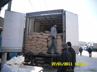 Грузчики в любое время,авто-переезды быстрее молнии - <ro>Изображение</ro><ru>Изображение</ru> #2, <ru>Объявление</ru> #183161