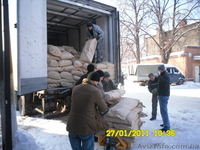 Грузчики,переезды по Харькову и области. - <ro>Изображение</ro><ru>Изображение</ru> #2, <ru>Объявление</ru> #186562