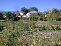 Продаю дом в г.Изюм - <ro>Изображение</ro><ru>Изображение</ru> #3, <ru>Объявление</ru> #278037