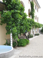 Гостиничный комплекс "Прибой" - <ro>Изображение</ro><ru>Изображение</ru> #3, <ru>Объявление</ru> #311765