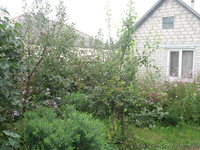 Продам дом с участком в Циркунах - <ro>Изображение</ro><ru>Изображение</ru> #1, <ru>Объявление</ru> #366609