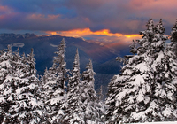 Недорогой отдых в Закарпатье из Харькова! Мукачево-Берегово - <ro>Изображение</ro><ru>Изображение</ru> #1, <ru>Объявление</ru> #377333