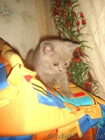 Юлия.(093)360 42 32  - <ro>Изображение</ro><ru>Изображение</ru> #2, <ru>Объявление</ru> #388098