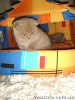 Юлия.(093)360 42 32  - <ro>Изображение</ro><ru>Изображение</ru> #4, <ru>Объявление</ru> #388098