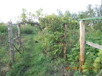 продам дом в Змиевском р-нес.Гинеевка - <ro>Изображение</ro><ru>Изображение</ru> #6, <ru>Объявление</ru> #371473